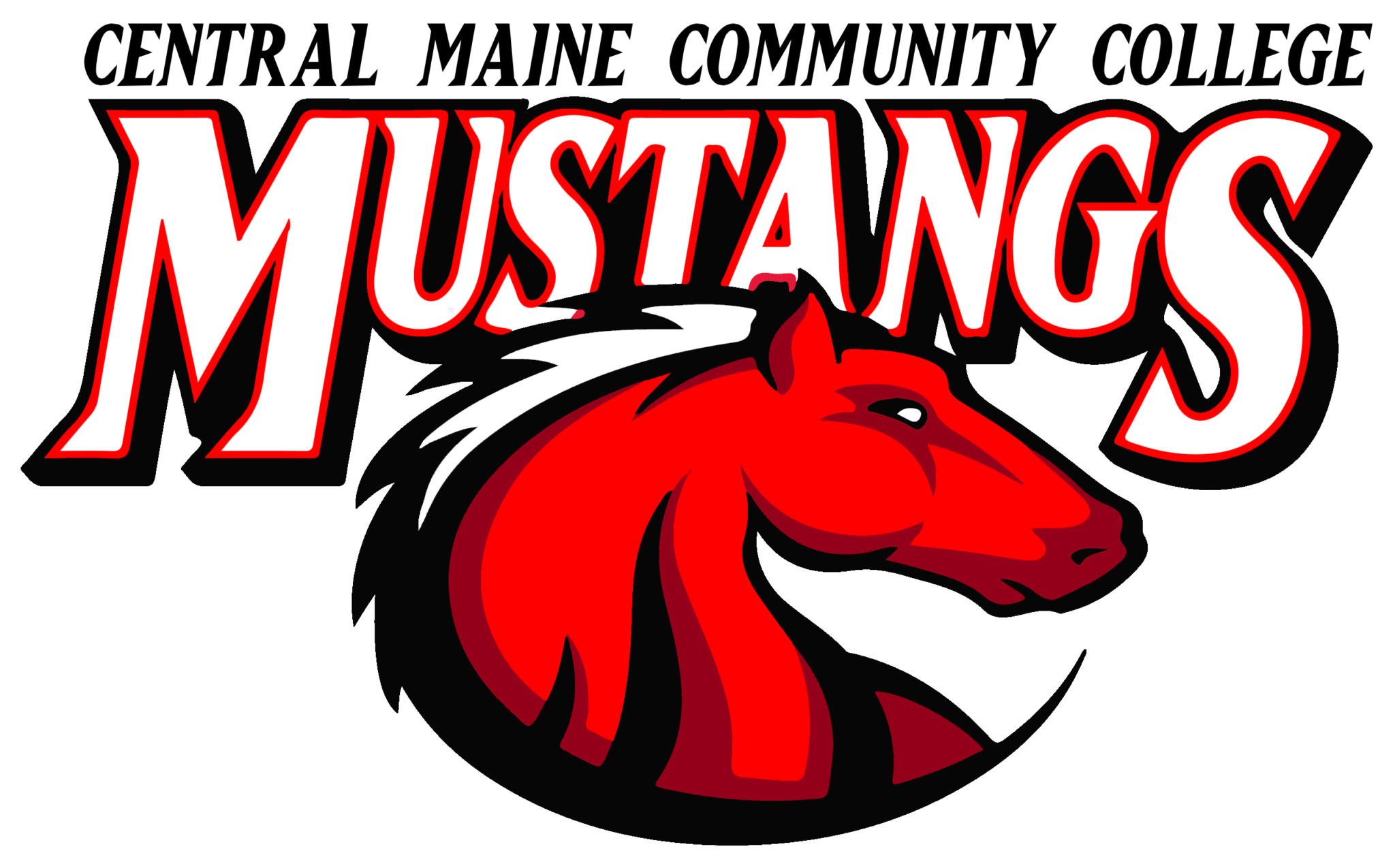 Brand Guide: Graphic Standards, Logos and Templates - CMCC